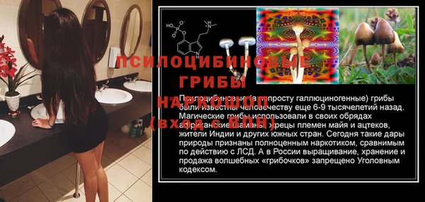 не бодяженный Краснослободск