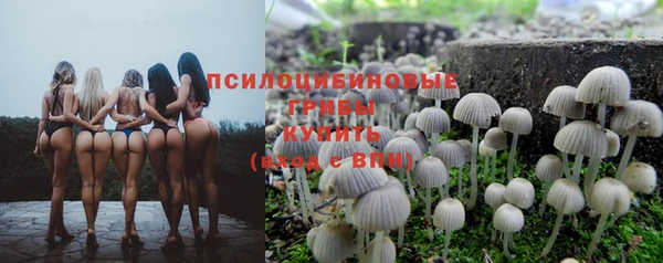 не бодяженный Краснослободск