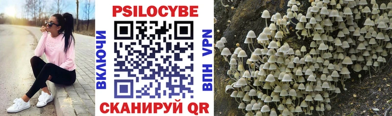 Галлюциногенные грибы Psilocybine cubensis Минеральные Воды