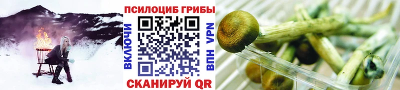 хочу наркоту  ОМГ ОМГ вход  Псилоцибиновые грибы Magic Shrooms  Минеральные Воды 